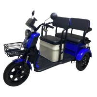 Электротрицикл Yasmand R12 Li-ion Синий